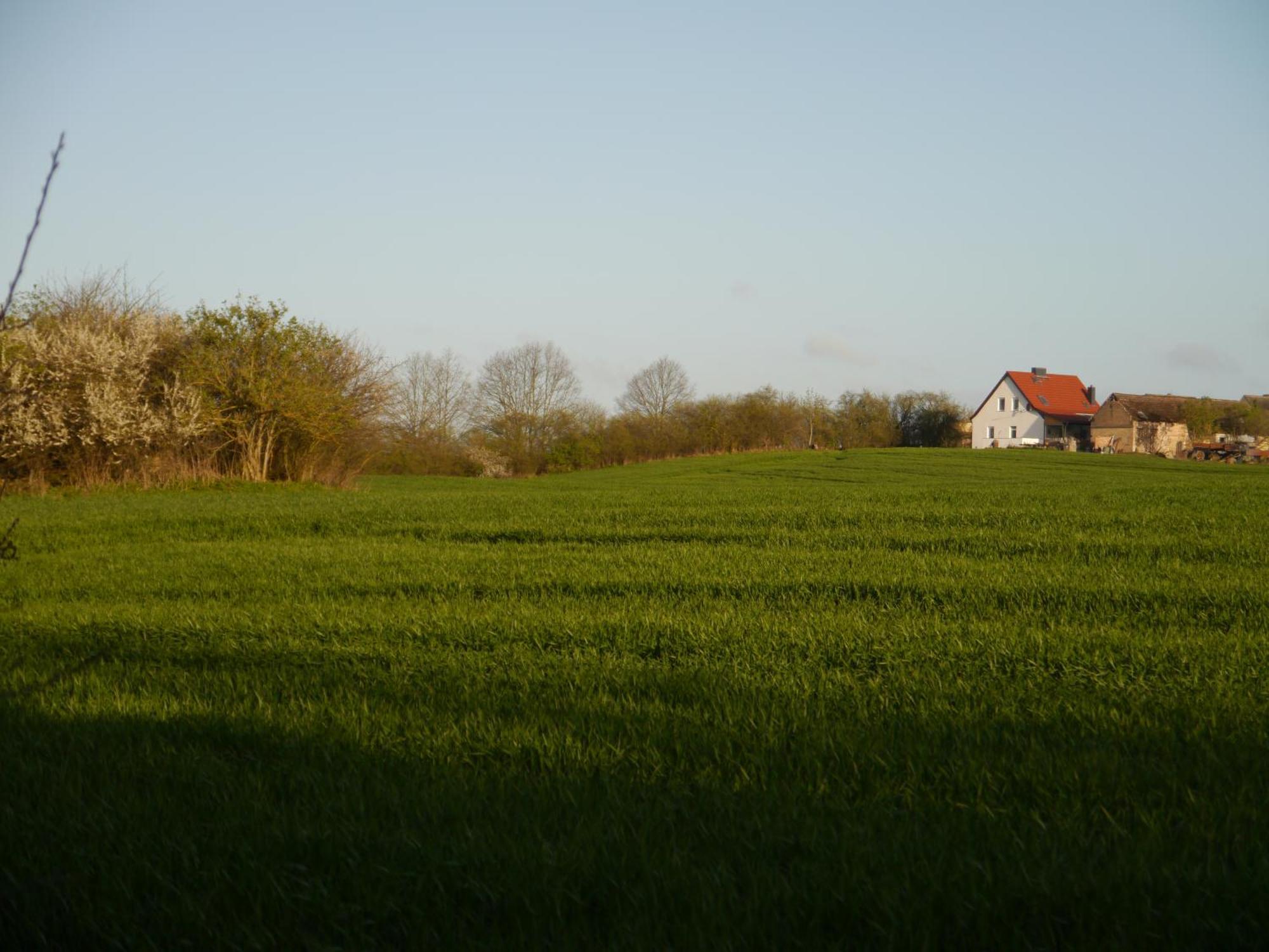 Ferienhaus-Uckermarkblick Rosenow  Exterior photo